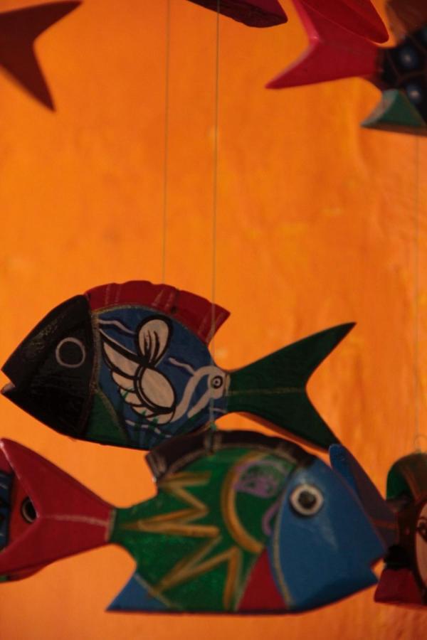 La Casa Naranja Hotel Isla Mujeres Eksteriør billede